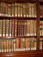 Biblioteca, particolare